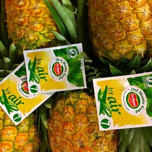 ananas via aerea