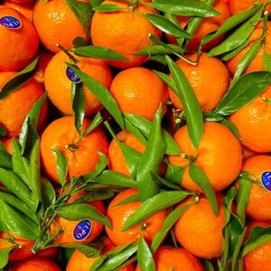 clementine calabresi italiane senza semi grosse