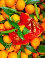 clementine calabresi italiane senza semi