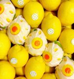 limoni italiani siciliani