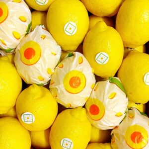 limoni italiani siciliani