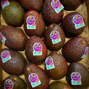 Avocado Hass frutta esotica