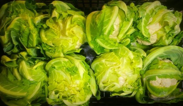 Cavolfiori, IT, al kg (1pz circa)