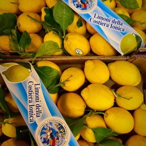 limoni naturali