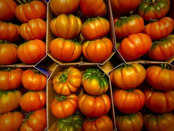 pomodoro marinda