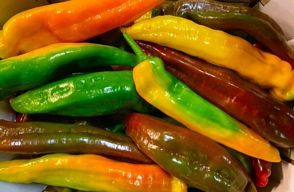 Peperoni a corno, IT, al Kg