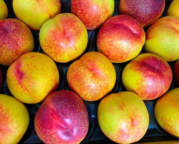 pesche noci