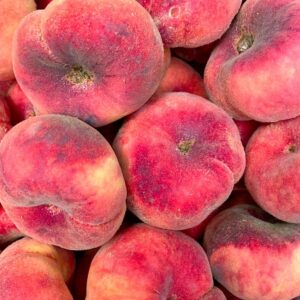 pesche tabacchine