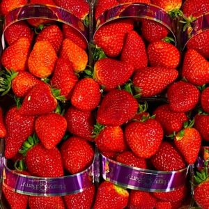 fragole candonga basilicata consegna a domiclio