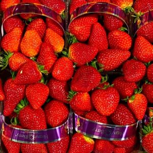 fragole candonga basilicata consegna a domiclio