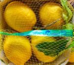 Limoni Costiera