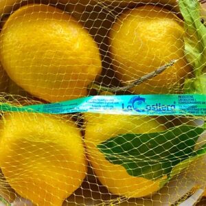 Limoni Costiera