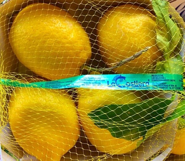 Limoni Costiera