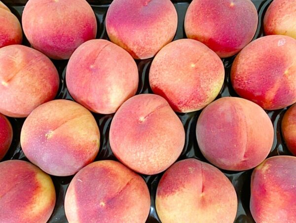 pesche bianche