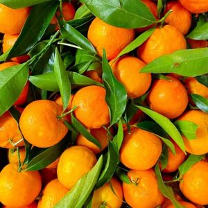 clementine calabresi italiane