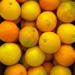 arance da spremuta biologiche italiane