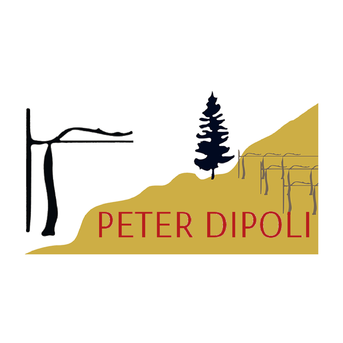 peter dipoli voglar trentino alto adige